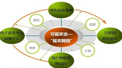 VIE结构 网络技术服务企业的国际化融资路径解析